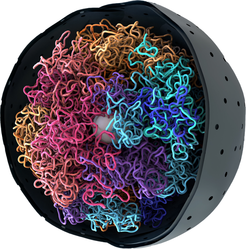 Cell_Image_Hero2x Cell_Image_Hero2x